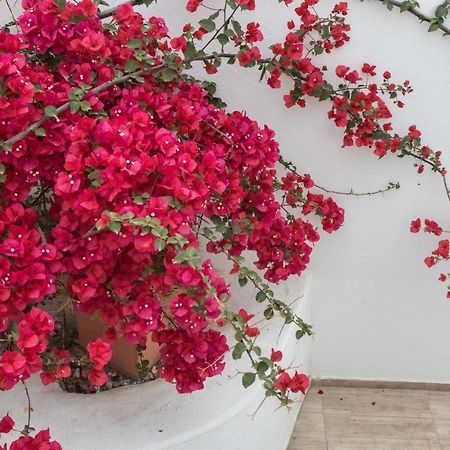 Depis Apartments & Suites Naxos City Esterno foto